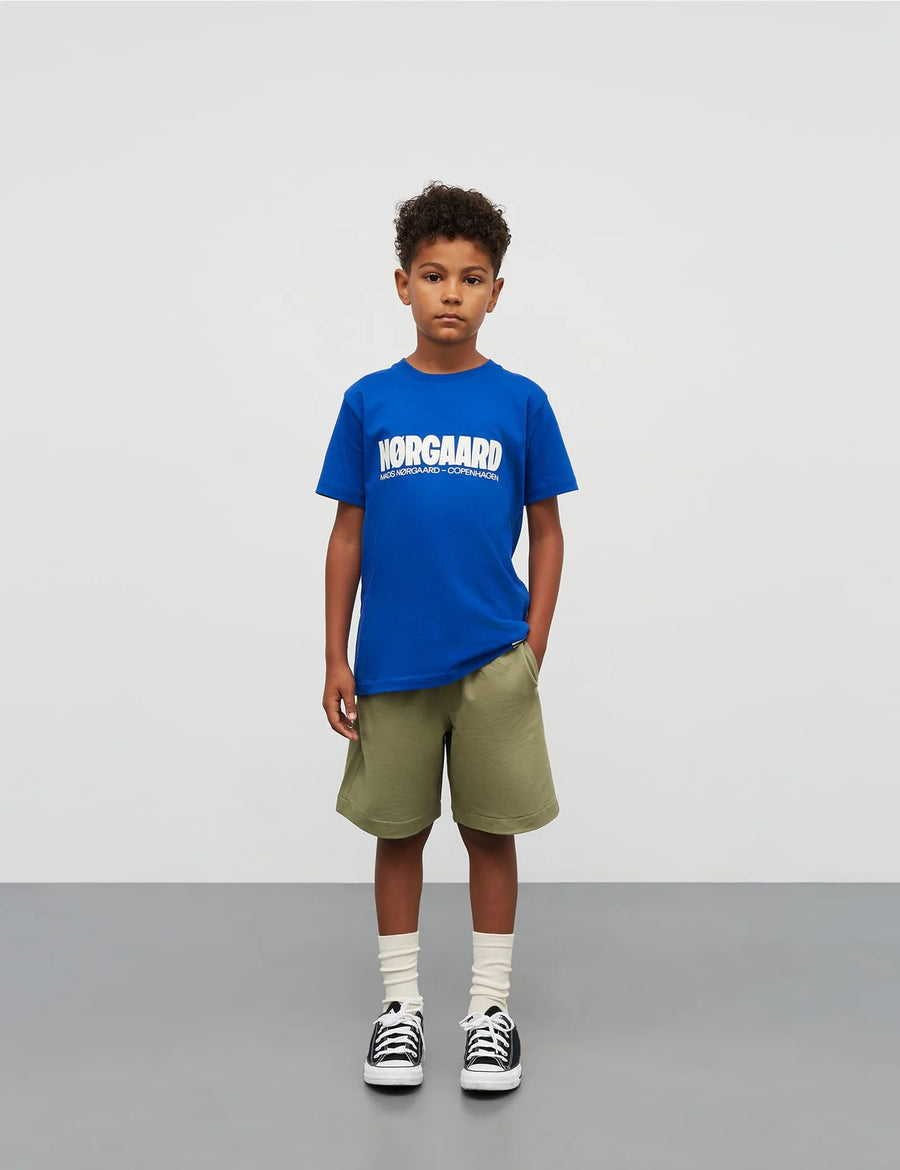 Bolur - Norgaard - Surf The Web
