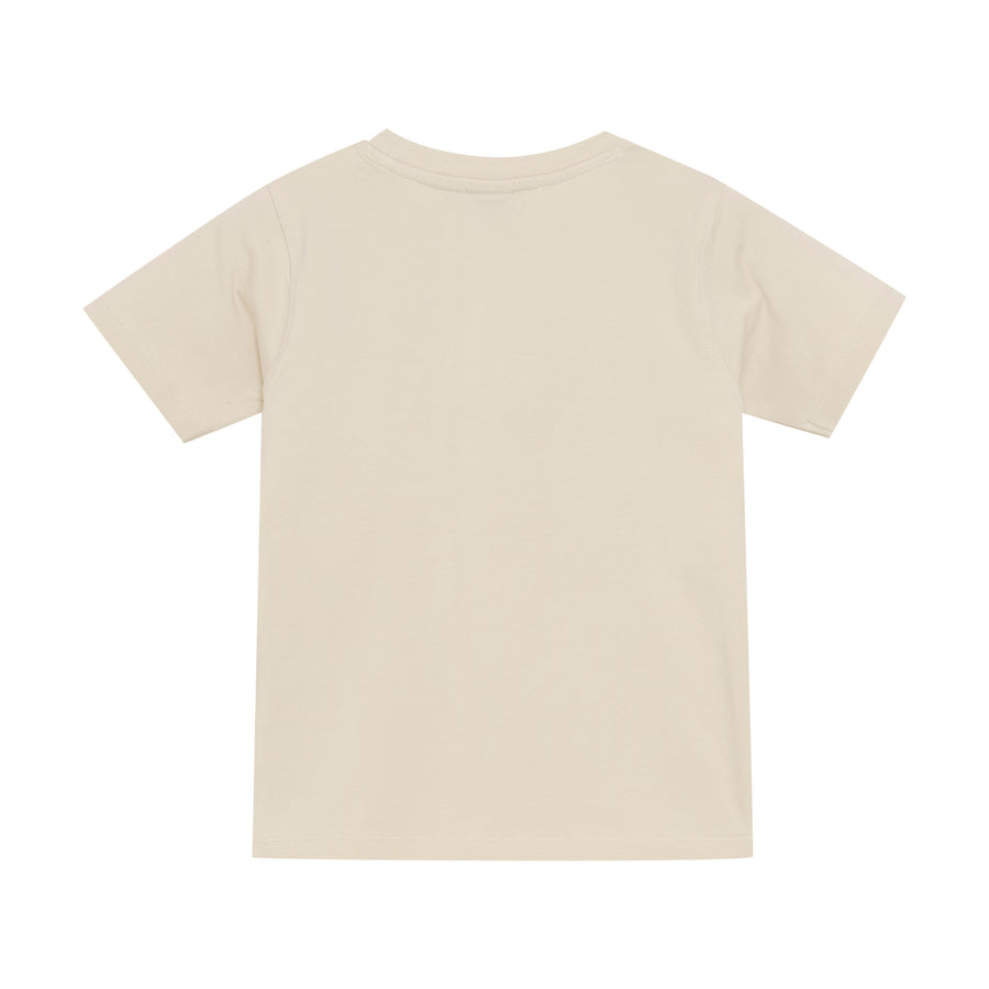 Bolur - Stutterma - Sandshell