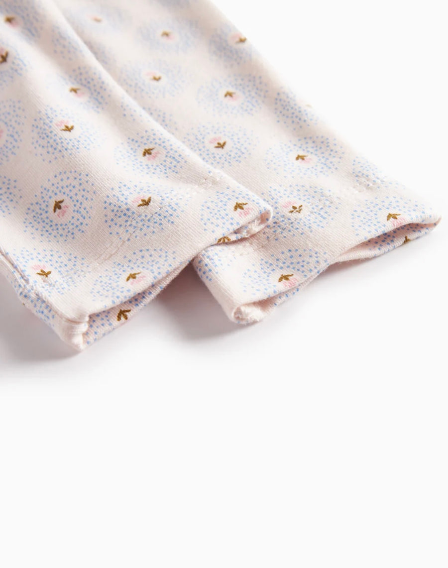 Buxur - Piva - Little Tulip