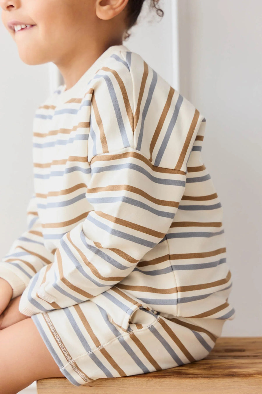 Peysa - Hudson Stripe Tiger