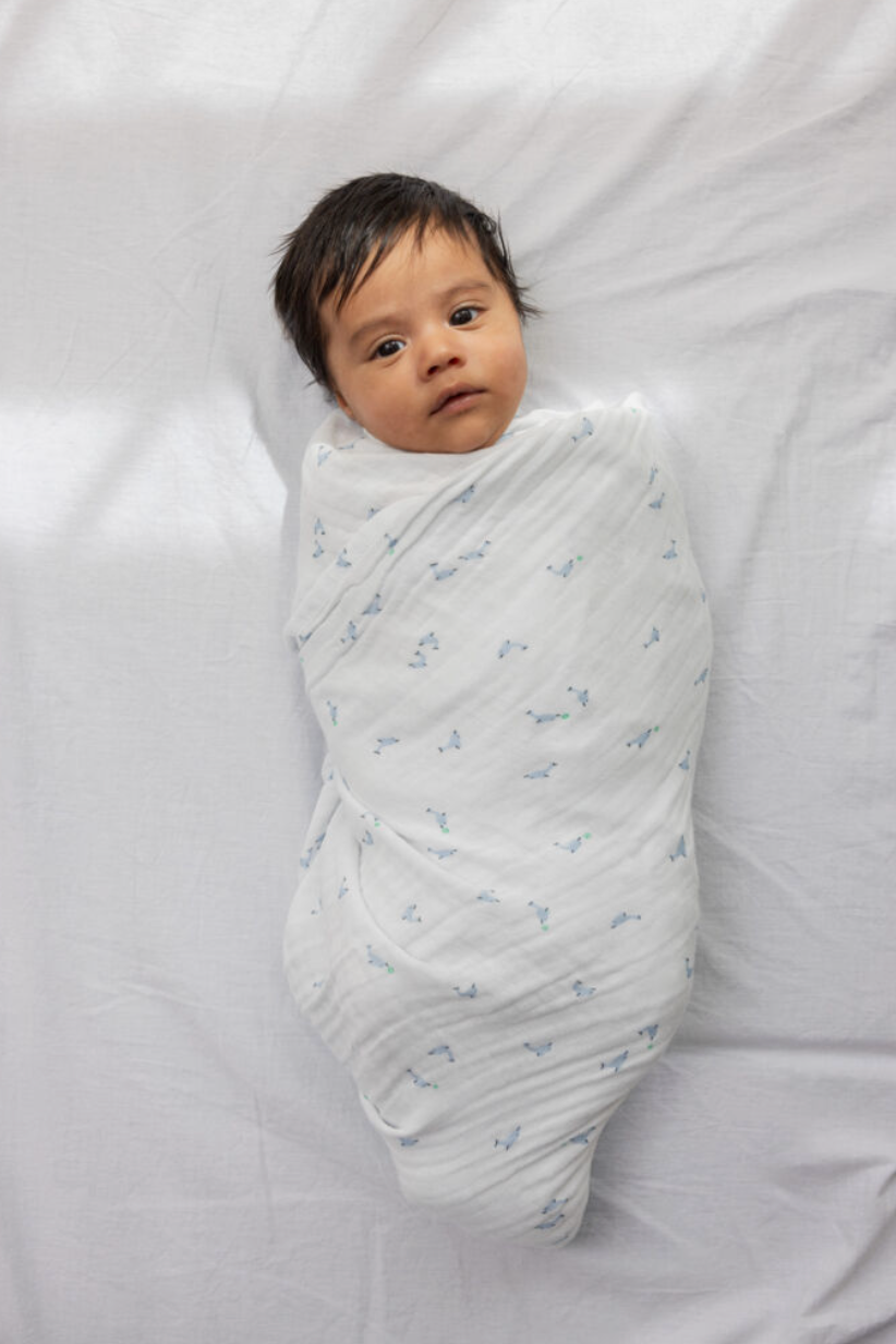 Swaddle - MarMar - Dolphin